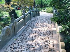 -汇龙潭