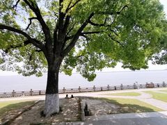 -观潮胜地公园