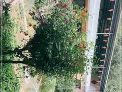 -柞水乾佑红门家菜