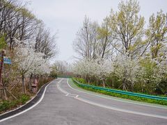 -大伊山景区