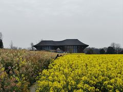 -中国天府农业博览园