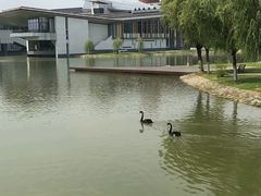 -南京医科大学(江宁校区)