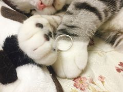 -情侣·团建·手作工坊(虹桥汇金百货店)