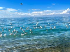 -青海湖国家重点风景名胜区