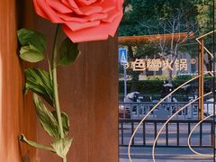 -色響火锅(恒隆广场店)