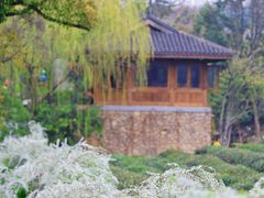 -中国茶叶博物馆(双峰馆区)