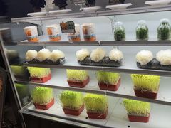 -番食园鲜食火锅(高新店)
