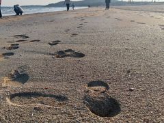 -青岛银沙滩