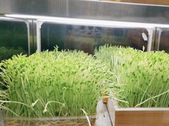 -捞王猪肚鸡火锅(财富中心店)