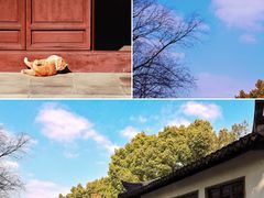 -上海方塔园