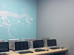 -斯坦星球AI编程·机器人科创·乐高科学·信奥·思维·专注力·STEM·竞赛考级(高新区绿宝广场龙湖狮山天街学习中心)