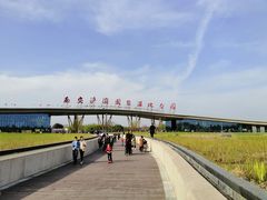 -西安浐灞国家湿地公园