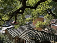-杨家堂村