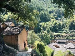 -杨家堂村