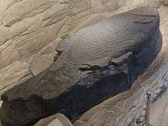 -白鹤梁水下博物馆