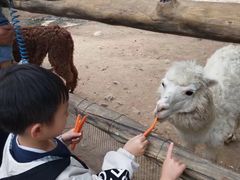 -西安秦岭野生动物园