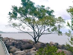-上海吴淞炮台湾国家湿地公园