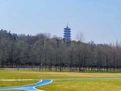 -宜兴龙背山森林公园