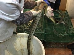 -荔城生鲜盛宴(番禺旗舰店)