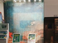 -蜀九香火锅(江油店)