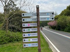 -同里国家湿地公园