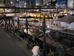 -悉尼歌剧院