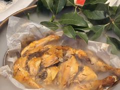 -桂满陇·海市蜃楼·黑金(国金店)