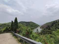 -长沙黑麋峰国家森林公园