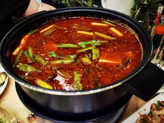 乌江豆腐鱼火锅-贵凤凰贵州米粉(五道口店)