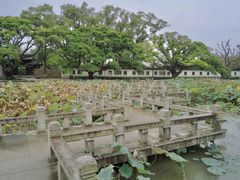 -江心屿景区
