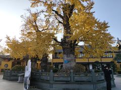 -圆通寺