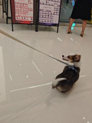 -YASAKI国际舞蹈中心