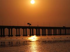 -宝安西湾红树林湿地公园