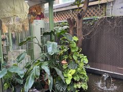 -绿房子方寸咖啡(星海名城店)