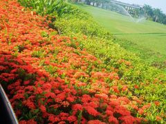 -美视五月花高尔夫度假酒店(滨海西店)