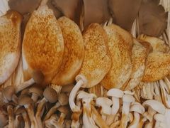 -揽月斋炙子烤肉·清真(安定门·五道营店)