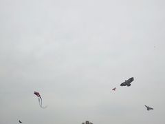 -朝阳公园游乐园