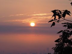 -惠山国家森林公园