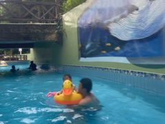 -重庆海昌加勒比海水世界