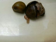 -小邢板栗(星悦广场店)