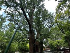 -西湖风景区十里琅珰-五云山