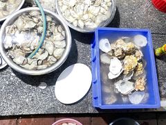 -花苑美食横琴生蚝火锅(拱北粤华路店)