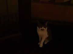 -萬國春·中菜馆(颐和公馆店)