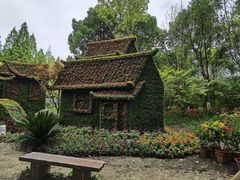 -东平国家森林公园