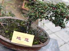 -胡氏古民居建筑