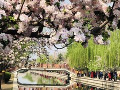 -元大都城垣遗址公园