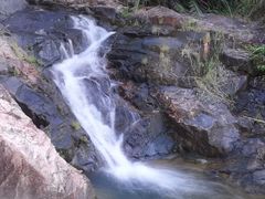 -广州白江湖森林公园