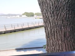 -水上明月·湖景餐厅