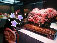 -湖南省地质博物馆