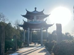 -江南天池